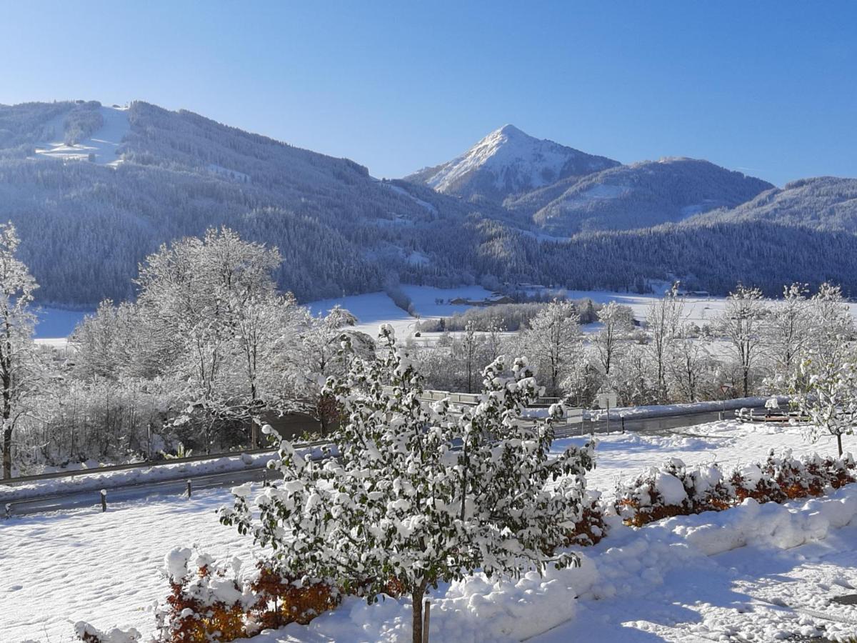 Filzerlehen Villa Radstadt Kültér fotó