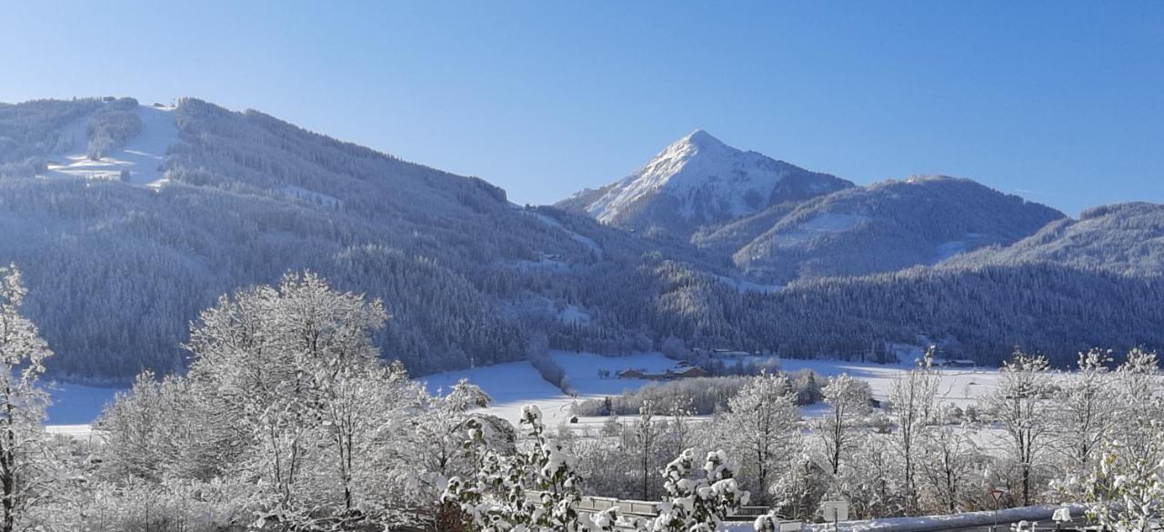 Filzerlehen Villa Radstadt Kültér fotó